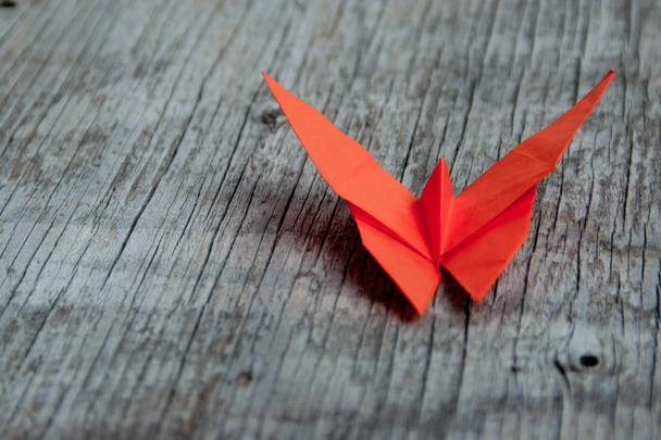 origami kelebek - Fotoğraf, Görsel
