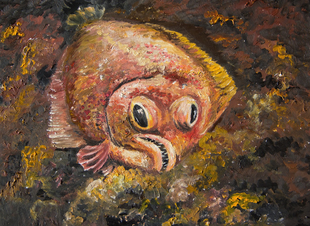 Flounder is lying on the seabed - Fotó, kép