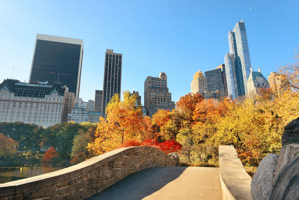 中央公園の秋 - 写真・画像