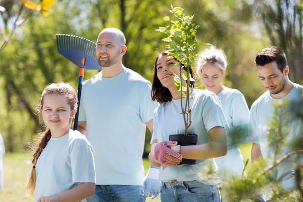 group of volunteers with trees and rake in park - Foto, afbeelding
