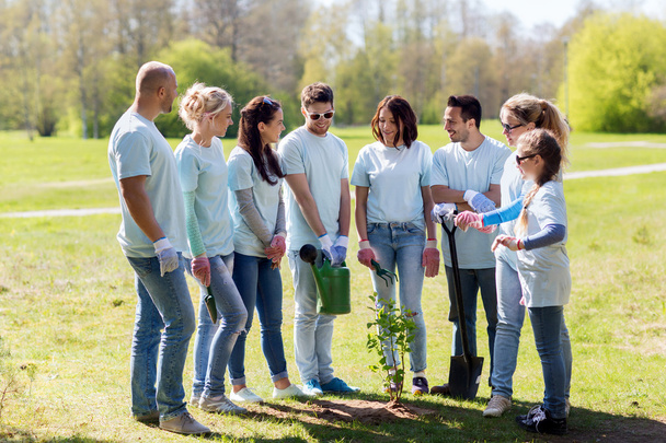 group of volunteers planting tree in park - Foto, Bild