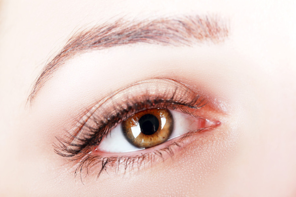 close up of womans brown eye - Foto, Imagem