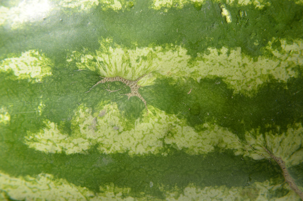 Detailní záběr červený meloun textury - Fotografie, Obrázek