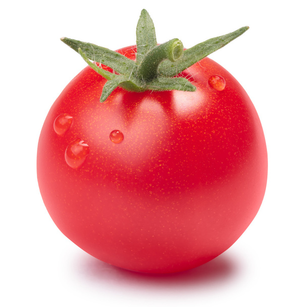 Pomidor (Tiny Tom) z łodyga, ścieżki - Zdjęcie, obraz
