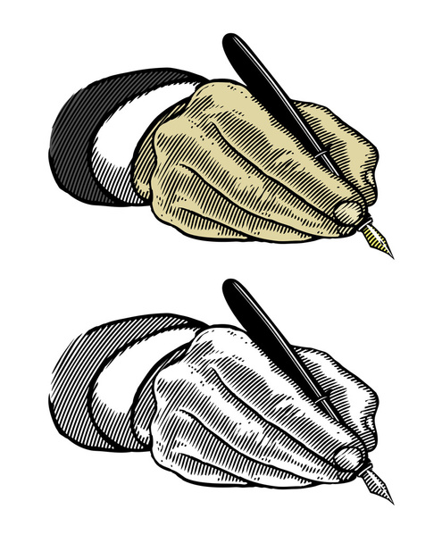 Mão escrita com caneta-tinteiro
 - Vetor, Imagem