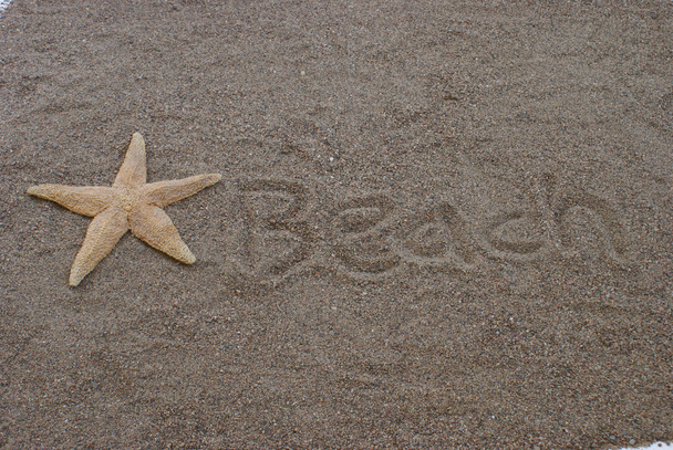 Beach Sandy Starfish - Foto, Imagem