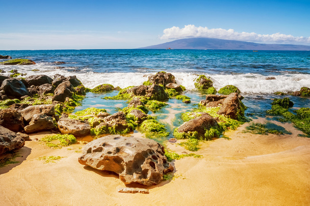 Камені і Тихий океан хвилі на острові Maui - Фото, зображення