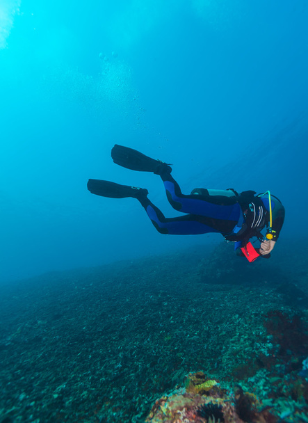 Силует Scuba Diver поблизу морське дно  - Фото, зображення