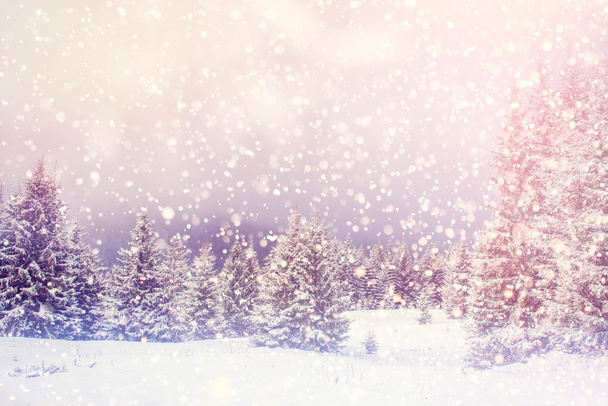 paisaje mágico invierno
 - Foto, imagen