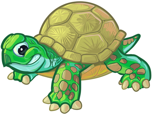 Kreskówka mocny żółwia dziecka lub żółw - Wektor, obraz