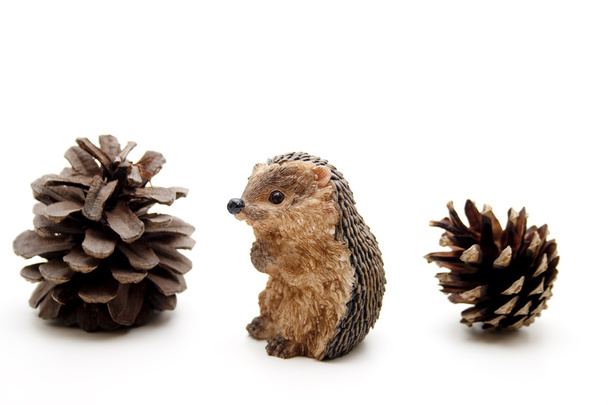 Hedgehog with conifer cone - Fotoğraf, Görsel