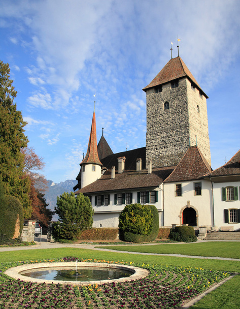 Castillo medieval de Spiez en Thun
  - Foto, imagen