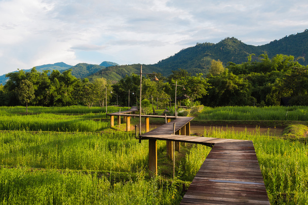 Wood path along rice field and through the mountain - Photo, Image