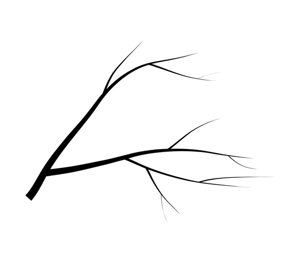 blanke Äste Baum Silhouette Vektor Symbol-Symbol-Design. schöne Illustration isoliert auf weißem Hintergrund - Vektor, Bild