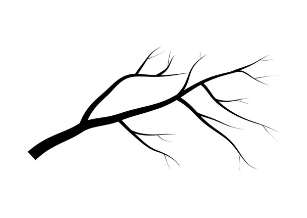blanke Äste Baum Silhouette Vektor Symbol-Symbol-Design. schöne Illustration isoliert auf weißem Hintergrund - Vektor, Bild