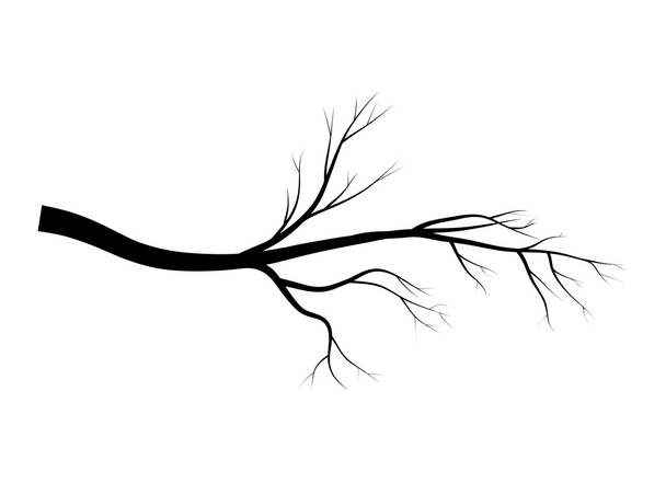bare branch tree silhouette vector symbol icon design. Beautiful illustration isolated on white background - Vector, Image