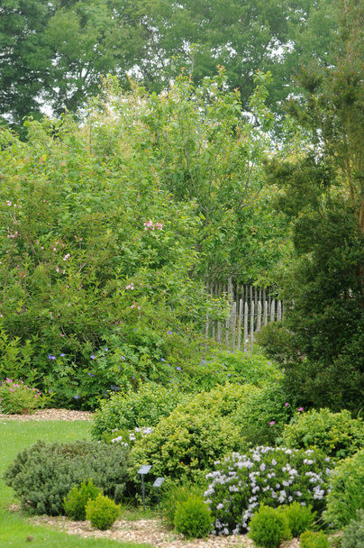 Brittany, le jardin lepage pleumeur bodou içinde - Fotoğraf, Görsel