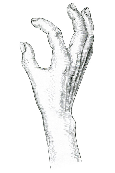 Handkneifen-Geste. Handzeichnung mit Bleistift. - Foto, Bild
