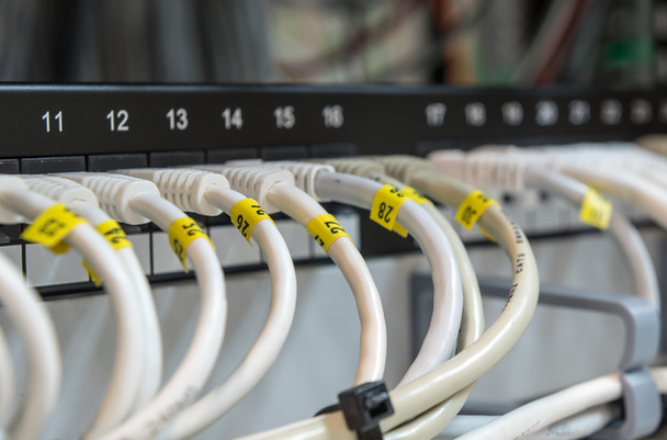 Комп'ютерні кабелі передачі даних Ethernet у рядку
. - Фото, зображення