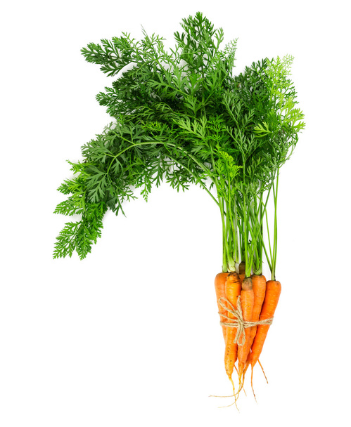 Куча свежей моркови на белом фоне.   - Фото, изображение