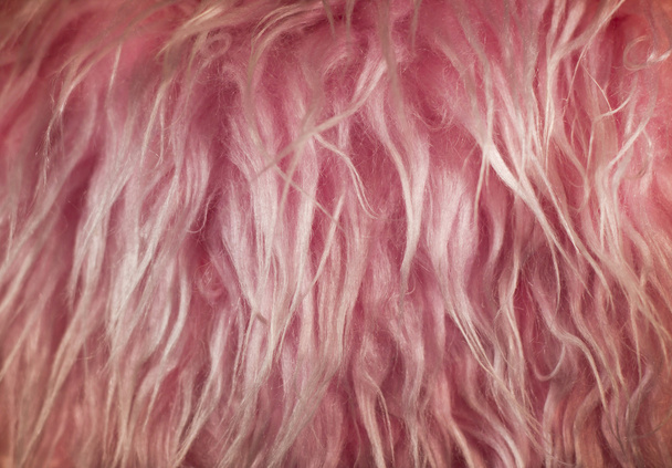 Pink Furry Texture - Photo, Image
