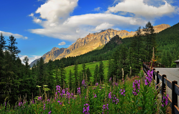 Val di Rhmes, Valle daosta, Olaszország, Európa-hegység - Fotó, kép