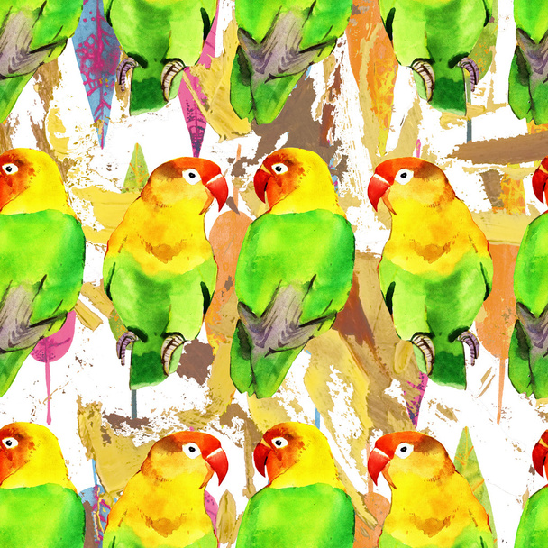watercolor parrot lovebird - Photo, Image