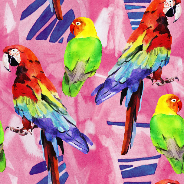 watercolor parrot lovebird - 写真・画像