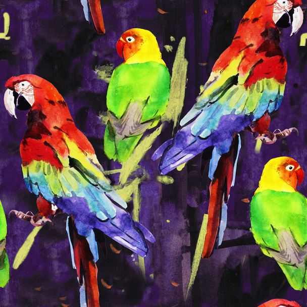 akvarell papagáj, törpepapagáj - Fotó, kép