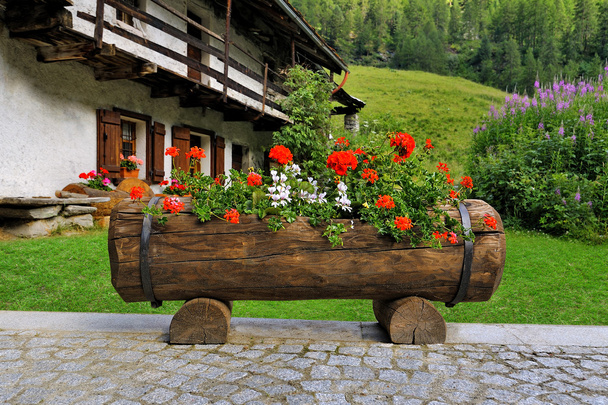 Bellissimo giardino alpien con ponte scatola di fiori geranio rosso
 - Foto, immagini