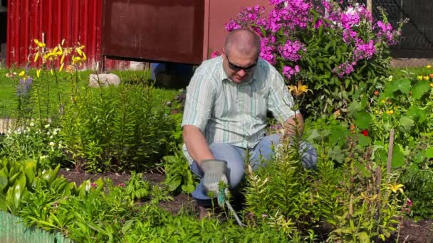 Hombre trabajando en el jardín cerca de flores
 - Imágenes, Vídeo