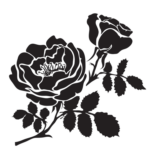 Silhouette rose branch with opened flowers and buds - ベクター画像