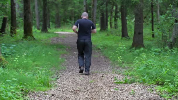 Runner on forest trail slowly run away - Footage, Video