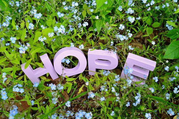 Hoop en Forget-Me-Nots - Foto, afbeelding