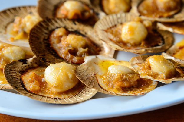 grilled sea scallop in its shell - Photo, Image