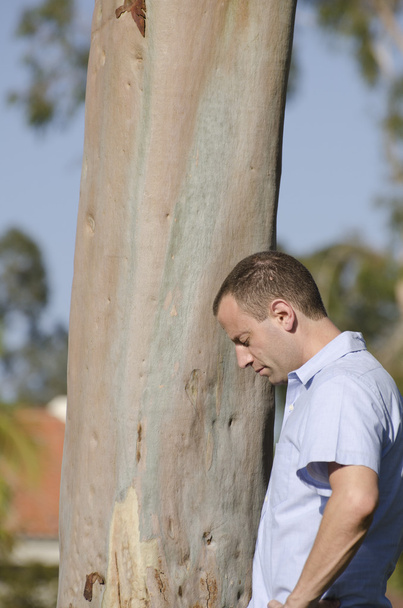 Orando al hombre junto a un árbol
. - Foto, imagen