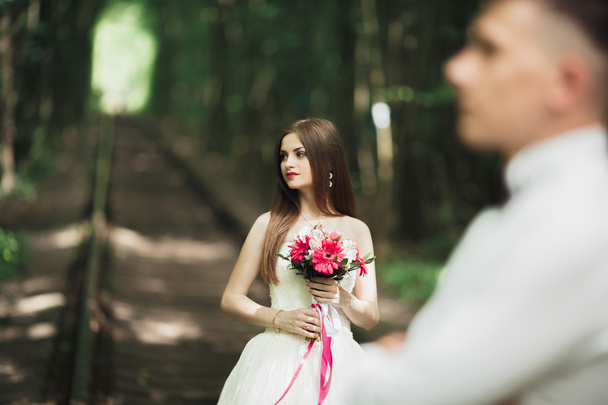 Beautiful bride posing on her wedding day in park - Photo, image