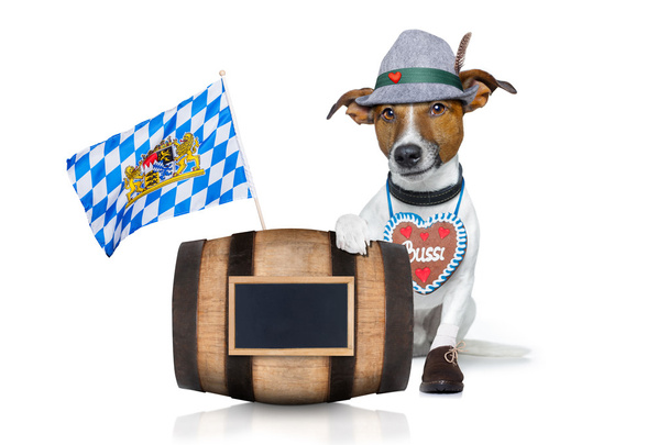 perro de cerveza bavarian
 - Foto, Imagen