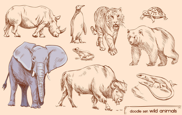 Doodle sada: divoká zvířata - Vektor, obrázek
