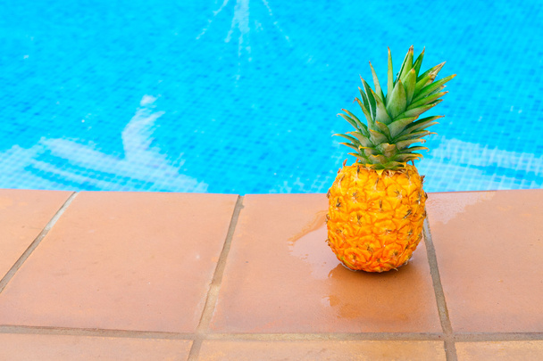 Pineapple and pool - Valokuva, kuva