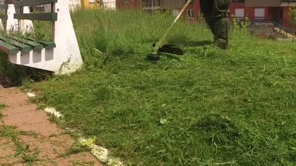 Gardener at work, mowing grass and vegetation. Park and street maintenance.  - Footage, Video