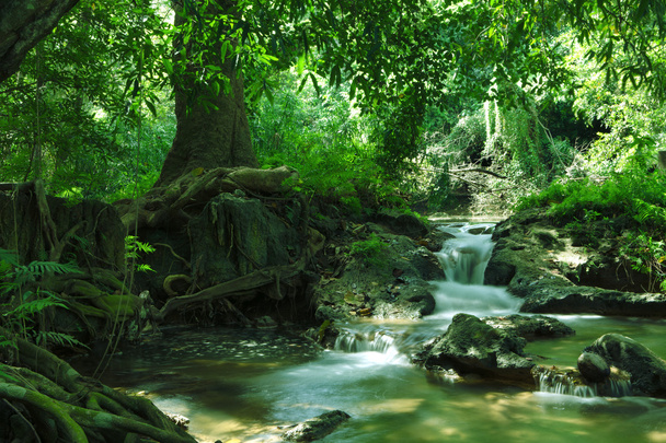 vista panorâmica da cachoeira agradável e lagoa em ambiente tropical verde
 - Foto, Imagem