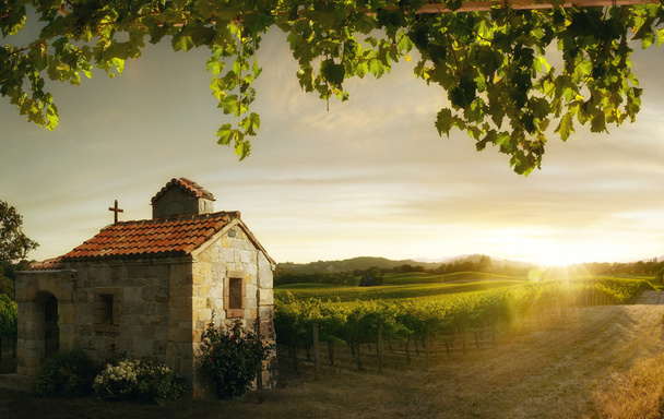 näkymä mukava italialainen aurinkoinen kesä maaseudulla maisema
 - Valokuva, kuva