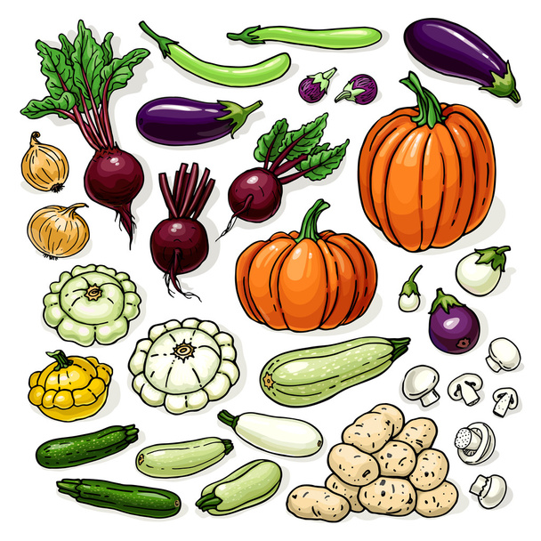 Vector kleur boerderij groenten schets met pompoen, wortels, kool, pot, bieten, broccoli, aardappelen - Vector, afbeelding