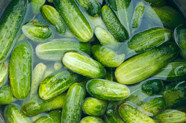 komkommers bereid voor behoud - Foto, afbeelding