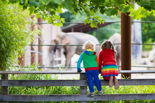 Τα παιδιά παρακολουθούν ελεφάντων στο ζωολογικό κήπο - Φωτογραφία, εικόνα