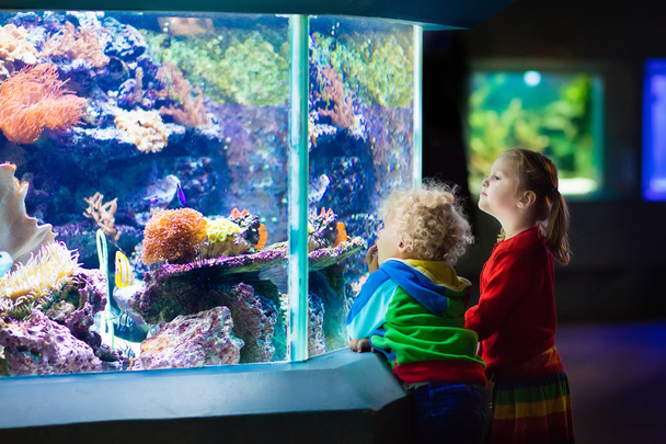 Kinderen kijken naar vis in tropische aquarium - Foto, afbeelding