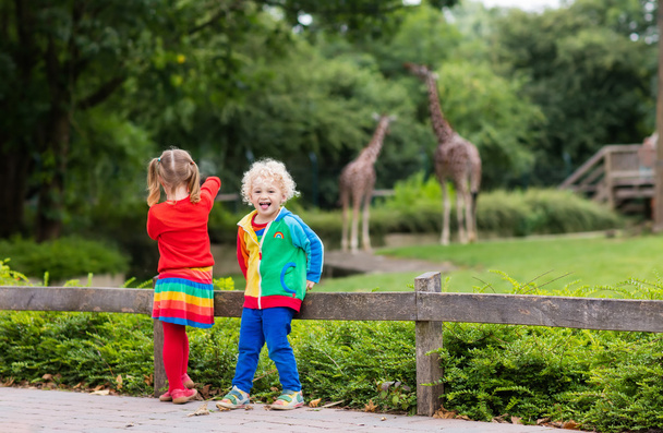 Niños viendo jirafa en el zoológico
 - Foto, imagen