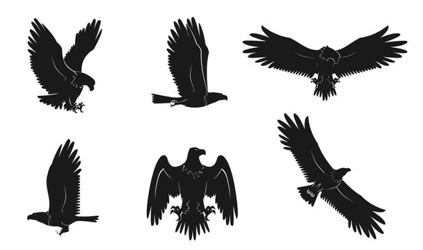 Vetor de águia - Vetor, Imagem