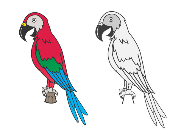 Parrot - Vector, Image